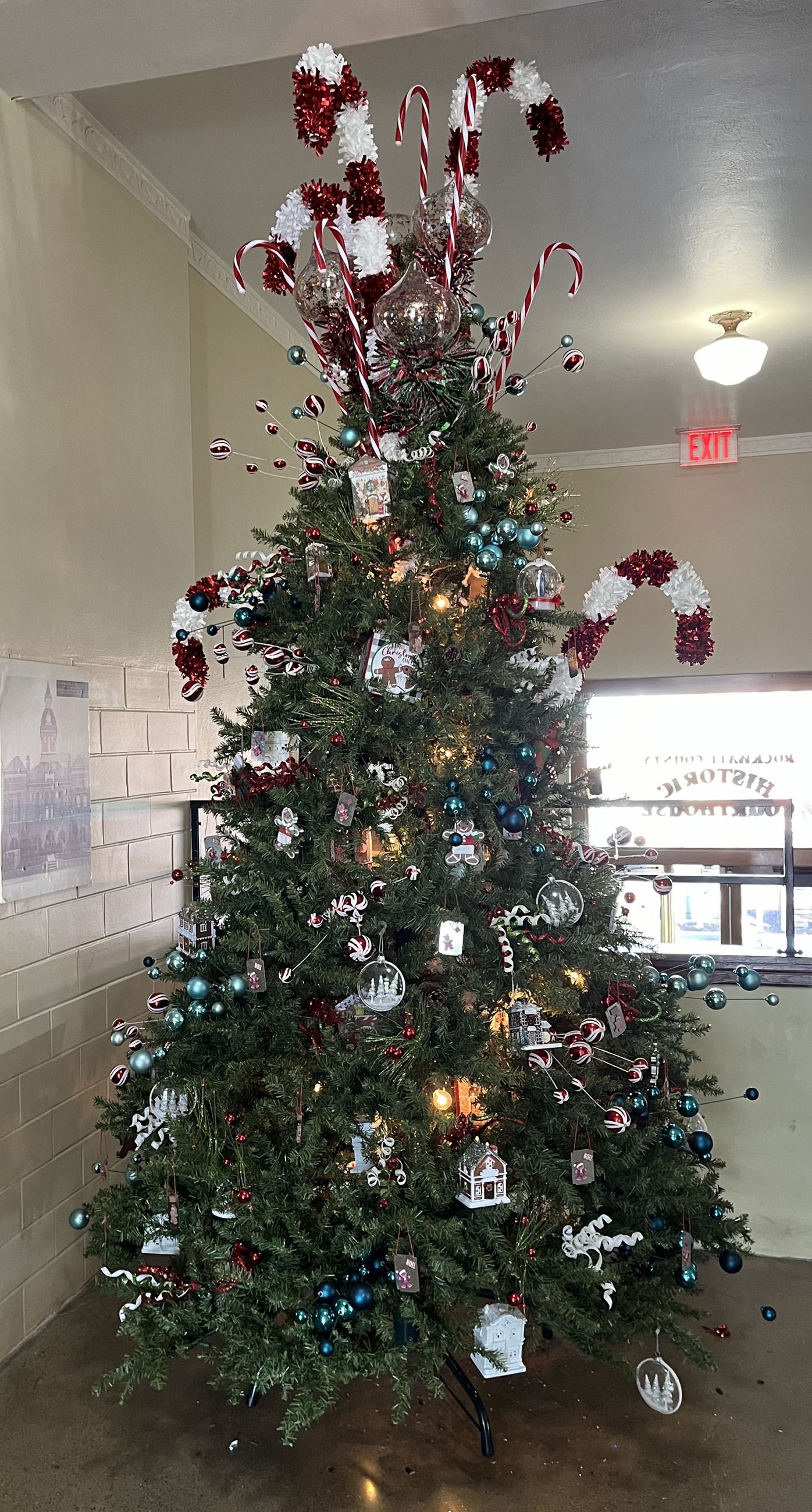 Historic Courthouse Tree 1