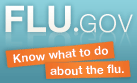 Flu.gov website